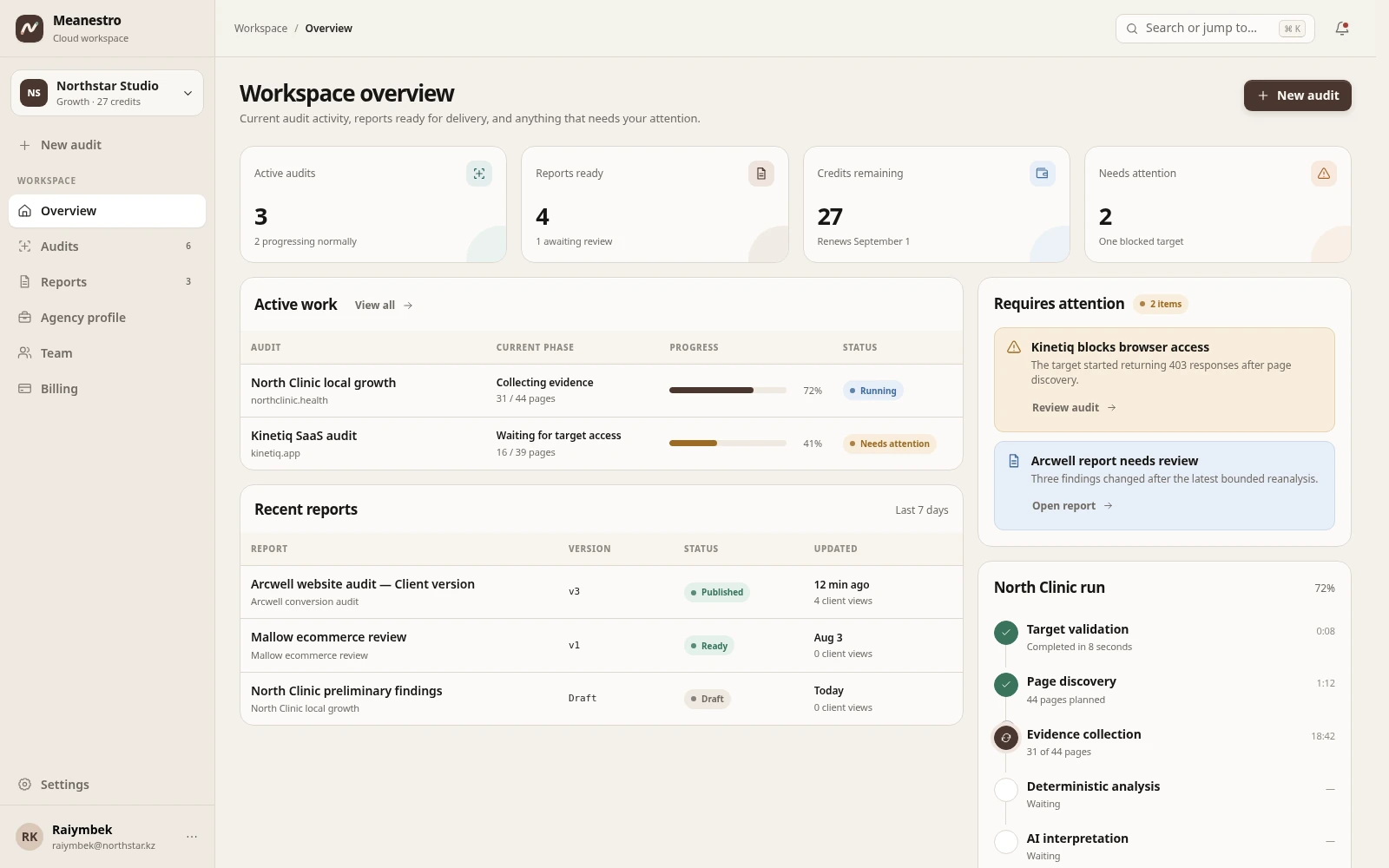 Meanestro Cloud workspace overview showing active audits, reports, credits and items requiring attention.